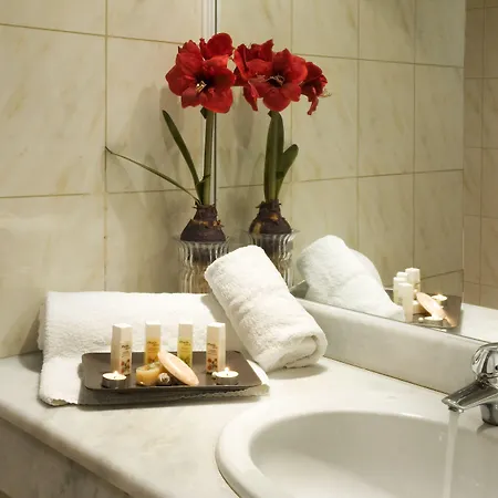 Ariti Grand 4*